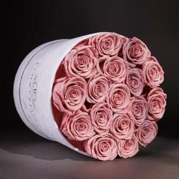 Valentines Day Roses Gifts for Her - Flowers for Delivery Prime- 17-Piece Roses in a Luxury Suede Box - Birthday Gifts for Women - Real Preserved Flowers- Mothers Day Gifts for Mom(Dusty Rose)
