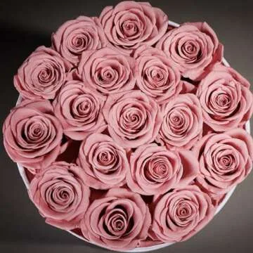 Valentines Day Roses Gifts for Her - Flowers for Delivery Prime- 17-Piece Roses in a Luxury Suede Box - Birthday Gifts for Women - Real Preserved Flowers- Mothers Day Gifts for Mom(Dusty Rose)