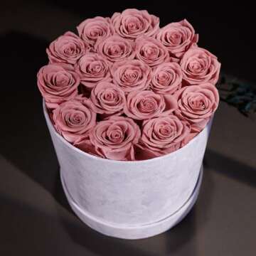 Valentines Day Roses Gifts for Her - Flowers for Delivery Prime- 17-Piece Roses in a Luxury Suede Box - Birthday Gifts for Women - Real Preserved Flowers- Mothers Day Gifts for Mom(Dusty Rose)