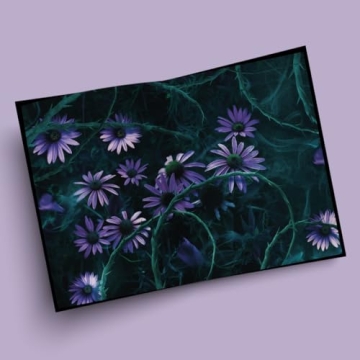 The Cursed Special Edition Unveiling Dark Romance Magic