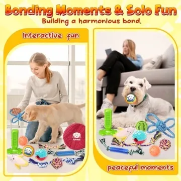 KIPRITII Dog Toys Pack for Puppies and Small Dogs