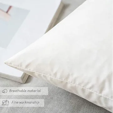 MIULEE Premium 18x18 Decorative Pillow Inserts Set of 2