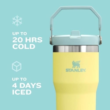 Stanley IceFlow 2.0 Tumbler | Insulated & Leakproof