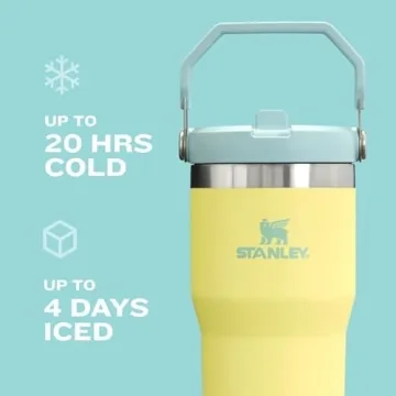 Stanley IceFlow 2.0 Tumbler | Insulated & Leakproof