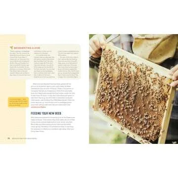 Beekeeping for Beginners: How To Raise Your First Bee Colonies