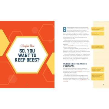 Beekeeping for Beginners: How To Raise Your First Bee Colonies