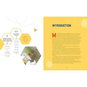 Beekeeping for Beginners: How To Raise Your First Bee Colonies