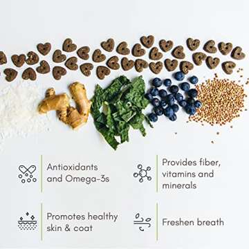 V-dog Vegan Soft and Chewy Wiggle Dog Biscuits - Dog Training Treats - Small, Medium and Large Breeds - Natural Blueberry Flavor Superfoods - 10 Ounce - All Natural - Made in The USA