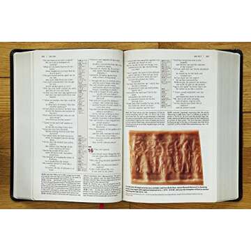 NIV, Cultural Backgrounds Study Bible (Context Changes Everything), Bonded Leather, Black, Red Letter: Bringing to Life the Ancient World of Scripture