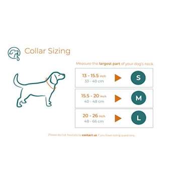 Embark Pets Zion Dog Rope Collar (Medium, Navy Blue)