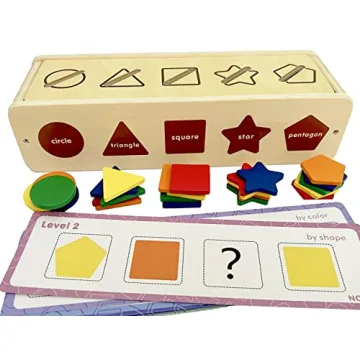 Dailyfunn Montessori Color & Shape Sorting Toys for Toddlers