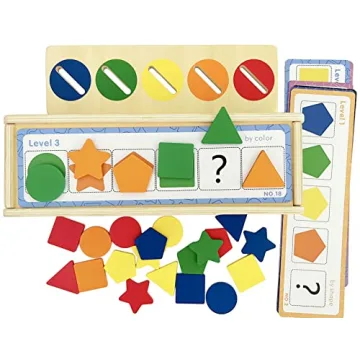 Dailyfunn Montessori Color & Shape Sorting Toys for Toddlers