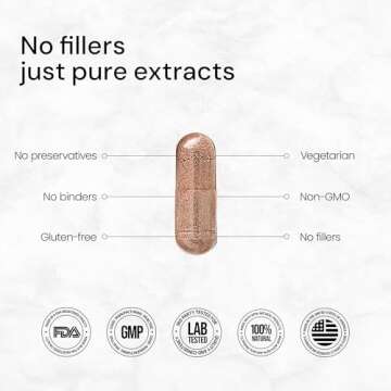 ACEWORKZ 10 Mushroom Complex Supplement - Lions Mane, Reishi and Cordyceps & More - Nootropic for Brain Health, Memory & Focus - Immunity & Energy (90 Capsules)