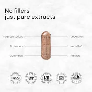 ACEWORKZ 10 Mushroom Complex Supplement - Lions Mane, Reishi and Cordyceps & More - Nootropic for Brain Health, Memory & Focus - Immunity & Energy (90 Capsules)