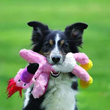 KONG Wild Knots Eagle Dog Toy, Medium/Large