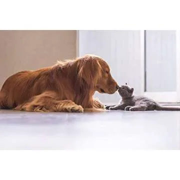 Veterinarian Approved Super Pet Nutrition - for Dogs and Cats - Liposomal Bovine Colostrum, Rich in Immunoglobulins (25%+), Support for Immune and Digestive Systems, Allergies (50 Grams)