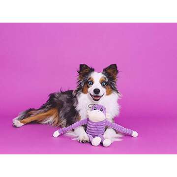 ZippyPaws - Spencer The Crinkle Monkey Dog Toy, Squeaker and Crinkle Plush Toy - Purple, Small