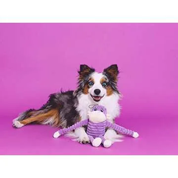 ZippyPaws - Spencer The Crinkle Monkey Dog Toy, Squeaker and Crinkle Plush Toy - Purple, Small