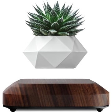 Amazing LEVINA Floating Plant Pot for Unique Indoor Decor