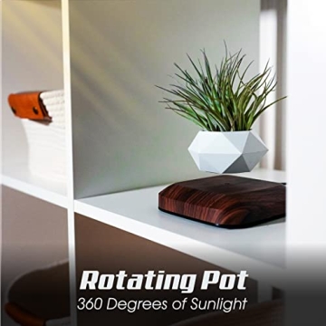 Amazing LEVINA Floating Plant Pot for Unique Indoor Decor