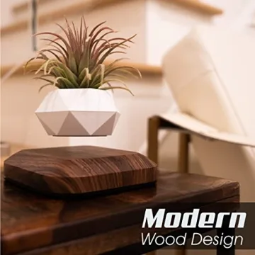Amazing LEVINA Floating Plant Pot for Unique Indoor Decor