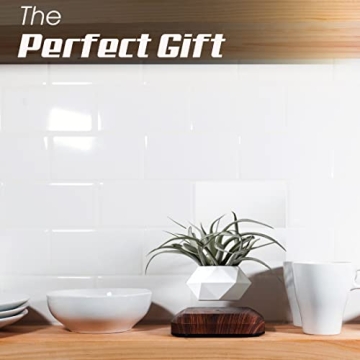 Amazing LEVINA Floating Plant Pot for Unique Indoor Decor