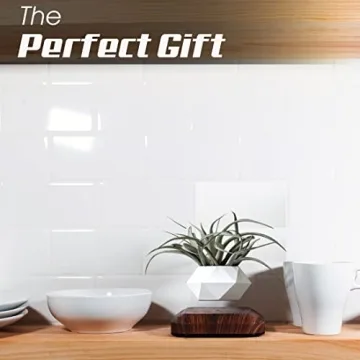 Amazing LEVINA Floating Plant Pot for Unique Indoor Decor