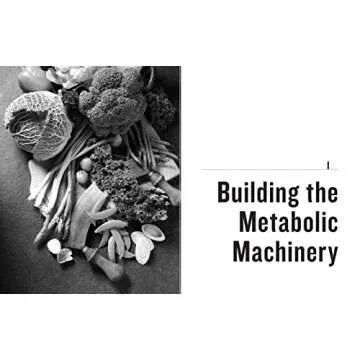 The Keto Reset Diet Reboot Your Metabolism and Burn Fat