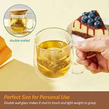 Double Wall Glass Coffee & Tea Mug with Lid - 250ml