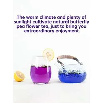 TeeLux Butterfly Pea Flower Tea for Vibrant Drinks