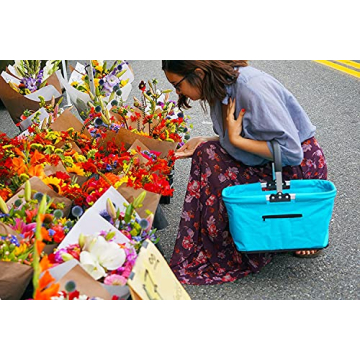 Collapsible Market Basket Portable for Shopping and Picnics