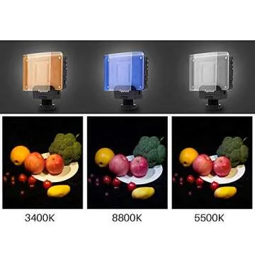 Aputure Amaran AL-M9 Mini Pocket LED Video Light On-Camera Fill Light + 12 pcs Extra Color Gel Filter, Portable Photography Light Video Shooting Accessories