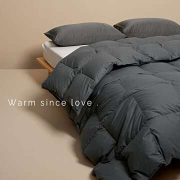 Airluck Luxury Feather Down Comforter Queen Full Size,Filled with Feather and Down,Winter Grey Bed C...