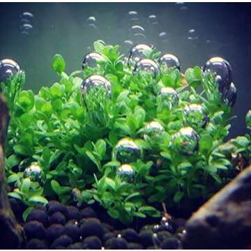 Greenpro Dwarf Baby Tears Live Aquatic Plants for Freshwater Tanks