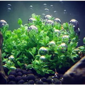 Greenpro Dwarf Baby Tears Live Aquatic Plants for Freshwater Tanks