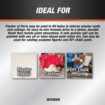 DAP 10310 Plaster of Paris, 8-Pound Tub for Creative Projects