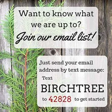 Mama Bear Christmas tree ornament made from NH Birch Tree wood slices.PERSONALIZE IT!