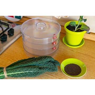 Food to Live Kale Seeds, 3 Pounds – Great for Sprouting and Planting, High Germination Rate, Non-Irradiated, Kosher, Vegan, Bulk, Grow Amazing Sprout, Microgreens and Plants for Salads, Sirtfood