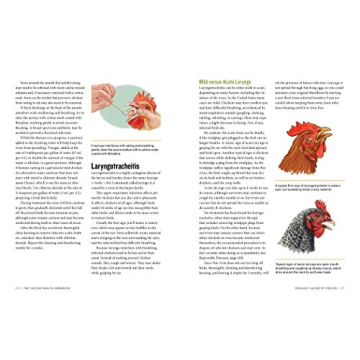 Chicken Health Handbook for Optimal Flock Care
