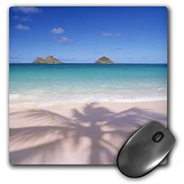 Pilot Frixion Erasable Marker Set - 12 Colors with Eraser