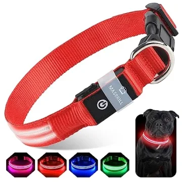 Colorful LED Light Up Dog Collar for Night Walking