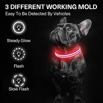 Rechargeable LED Light Up Dog Collar for Night Safety