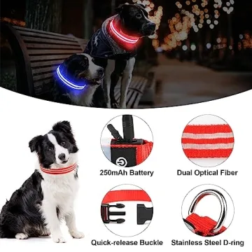 Rechargeable LED Light Up Dog Collar for Night Safety