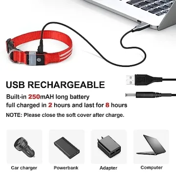 Rechargeable LED Light Up Dog Collar for Night Safety