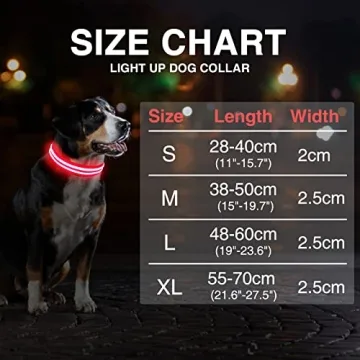 Rechargeable LED Light Up Dog Collar for Night Safety