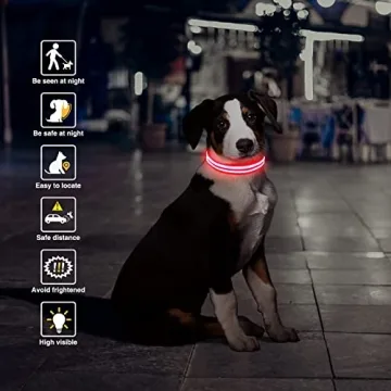 Rechargeable LED Light Up Dog Collar for Night Safety
