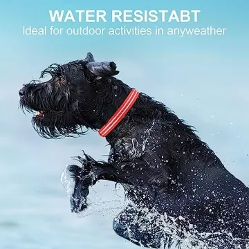 Rechargeable LED Light Up Dog Collar for Night Safety