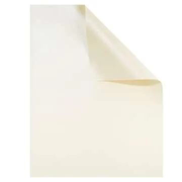 Best Paper Greetings Ivory Metallic Paper - 96 Sheet Shimmer Papers, Letter Size 8.5x11, Double Sided, Laser Printer Compatible, Perfect for Wedding, Baby Shower, Birthday Invitations, Craft