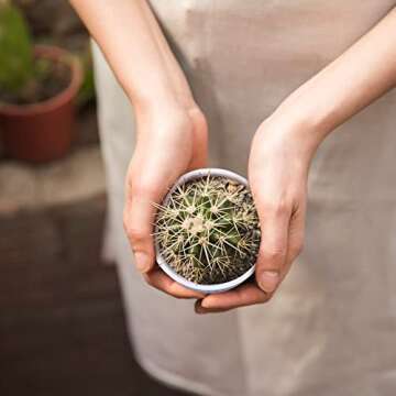 Teacher Appreciation Gifts Set, Teacher Week Christmas End of Year Present from Student, Best Birthday Valentine Retirement Gift Thank You Idea, Plant Pot For Succulent,Thank You for helping me Grow