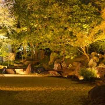 Explux Dimmable LED A19 Yellow Light Bulbs for Bright Illumination